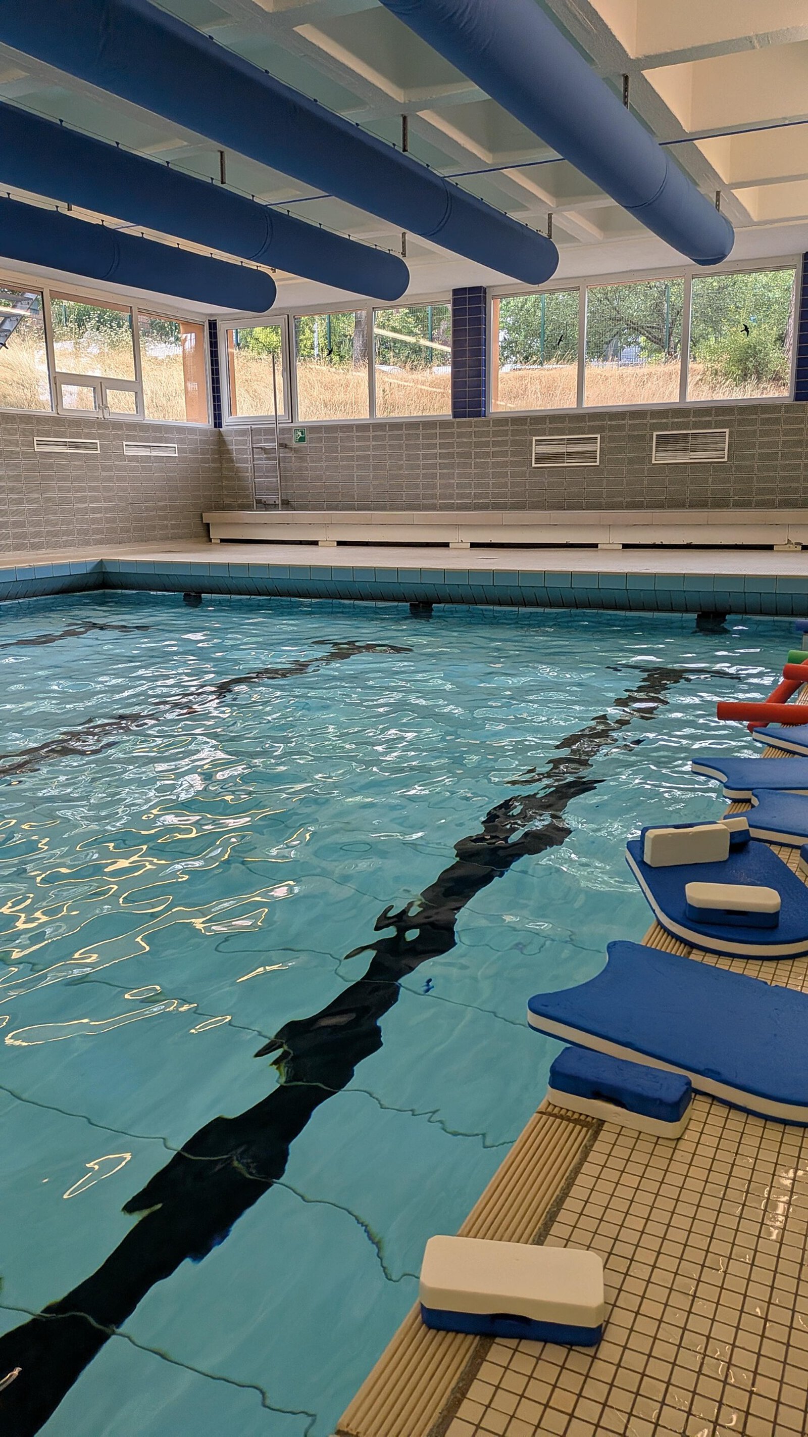 Das Schwimmbecken